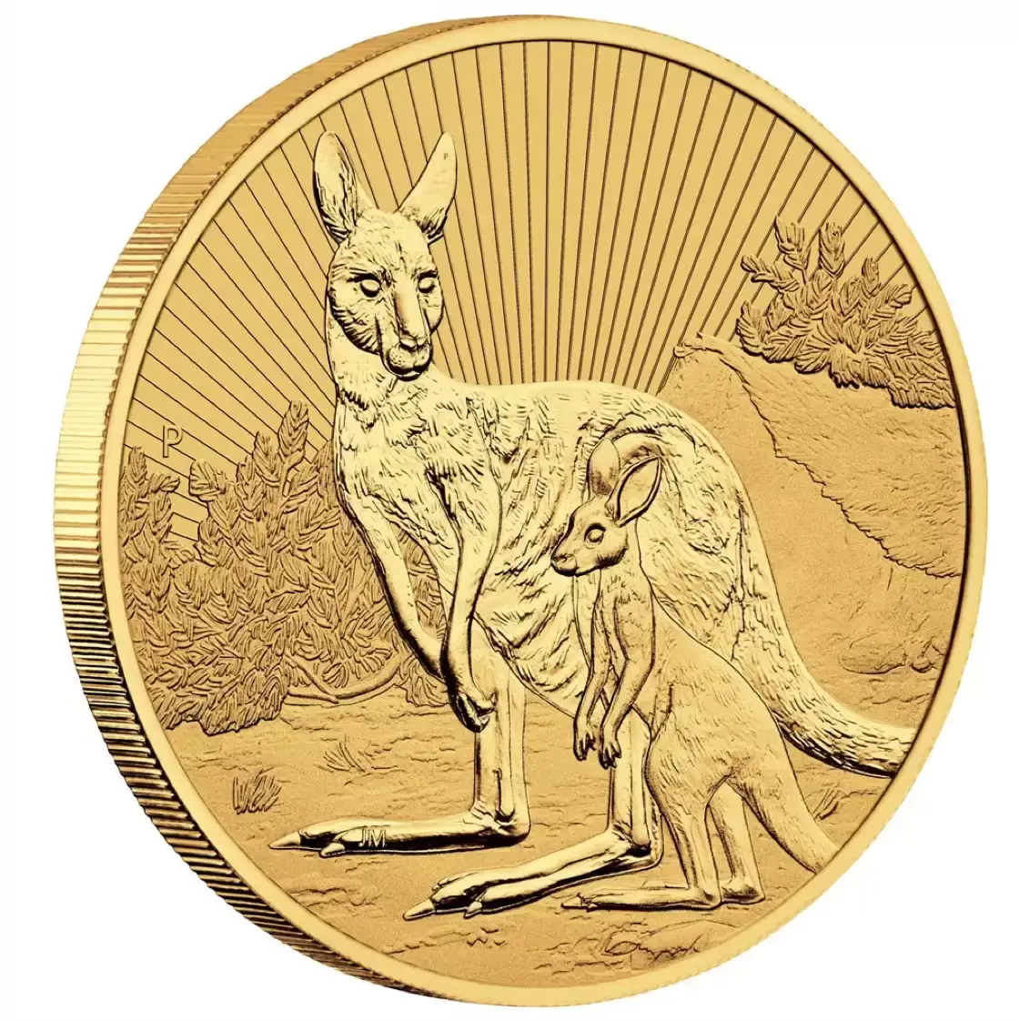 2023 2oz Perth Mint Gold Kangaroo Mother and Baby Coin