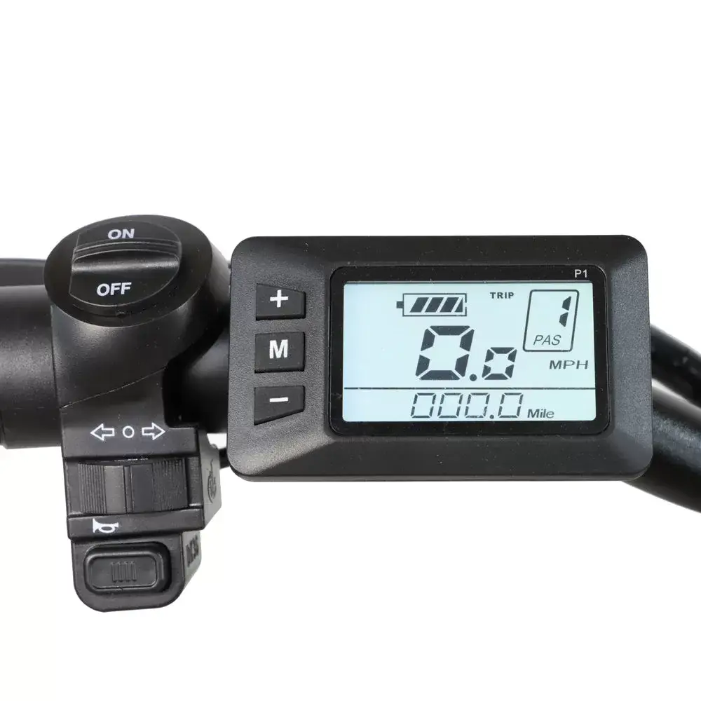 E-BIKE DZ2030 U-type Clause 48V 13Ah 500W Performance Motor SHIMANO 7-Speed