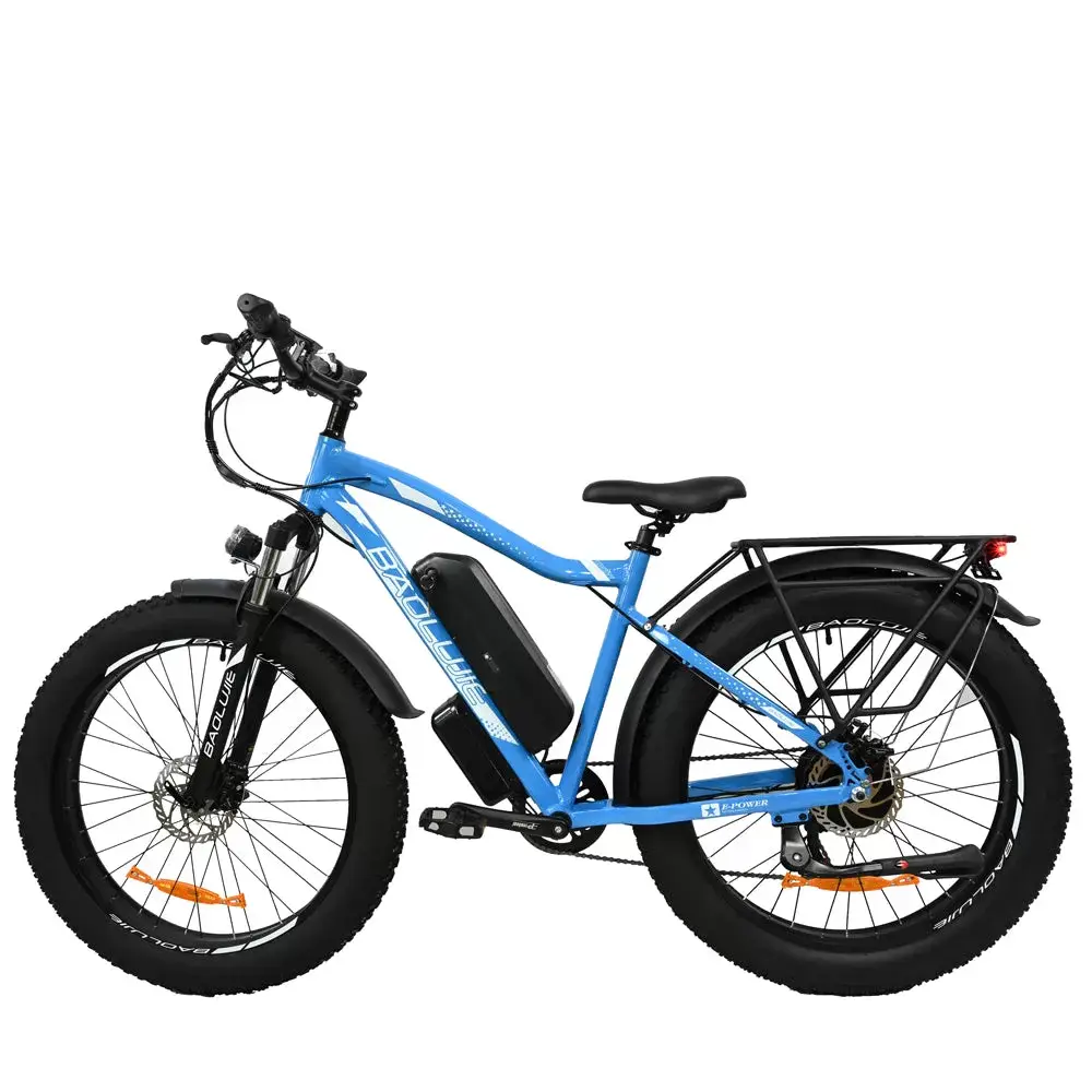 E-bike DP2619 Spoke Tire Type 48V 13AH 750W Performance Motor