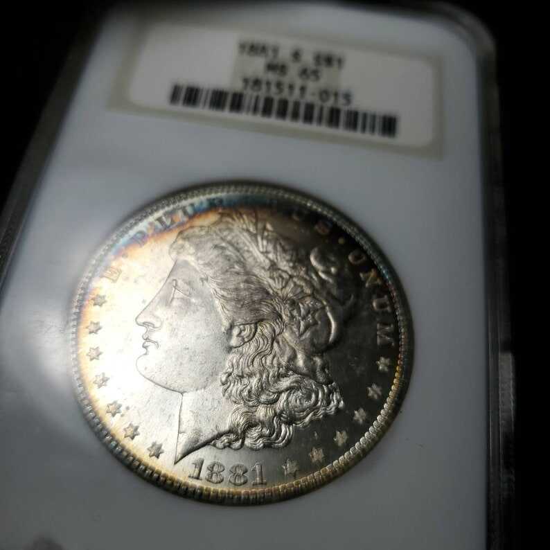 1881 S  Morgan Silver Dollar NGC  MS65  Beautiful Toning  - lot# 264