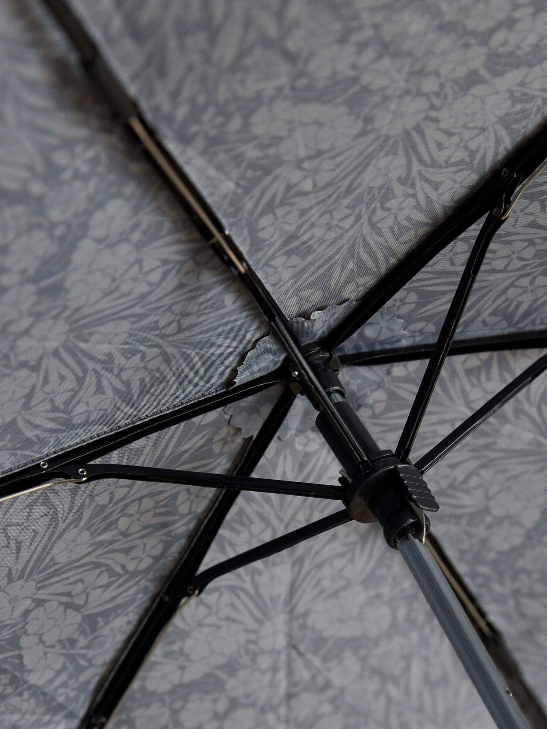 Rayne Black Printed Umbrella