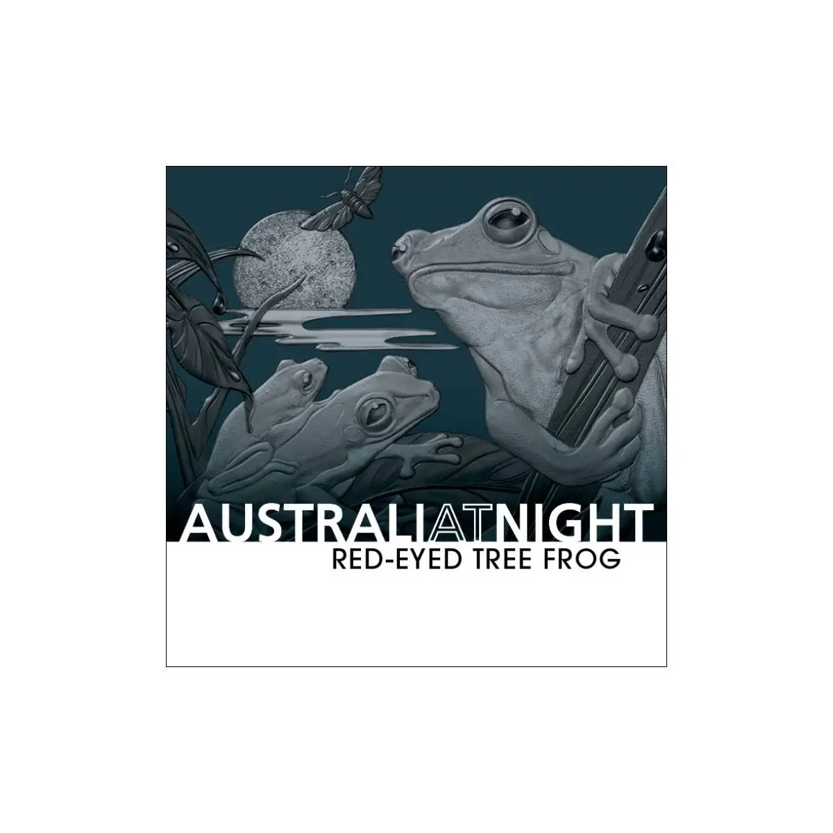 Australia at Night 2024 $1 Red-eyed Tree Frog 1oz Silver Black Proof Coin
