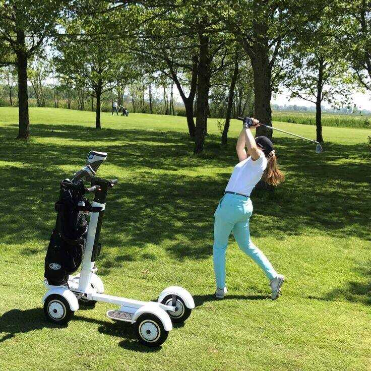 🔥clearance sale✨Four Wheel Golf Electric Folding Light Longboard Lawn Course Scooter🏌️