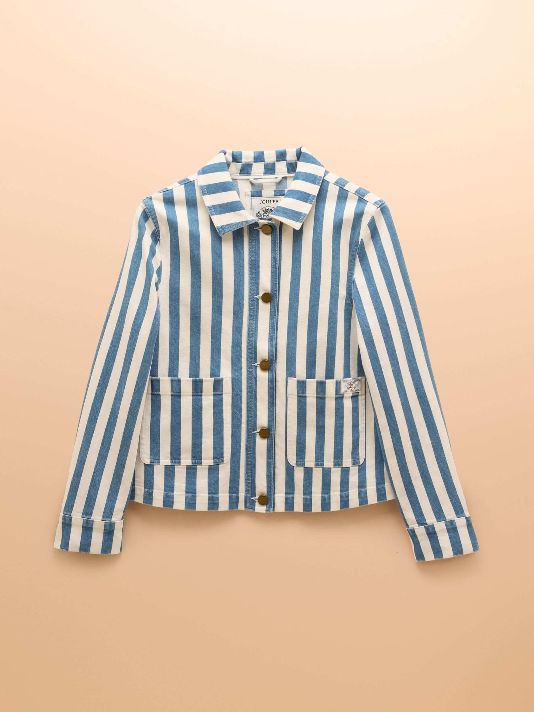 Blue Stripe Denim Jacket