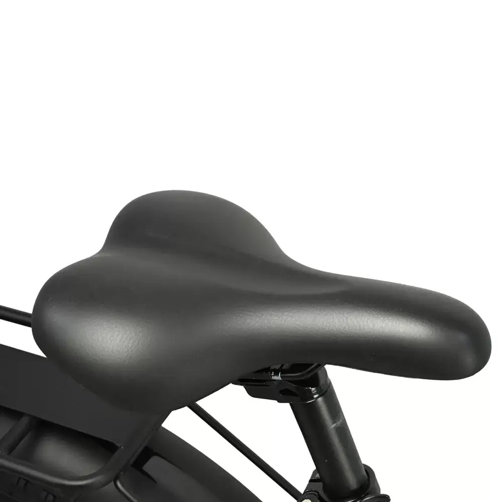 E-bike DP2620 All-in-one Tire 48V 13AH 750W Performance Motor