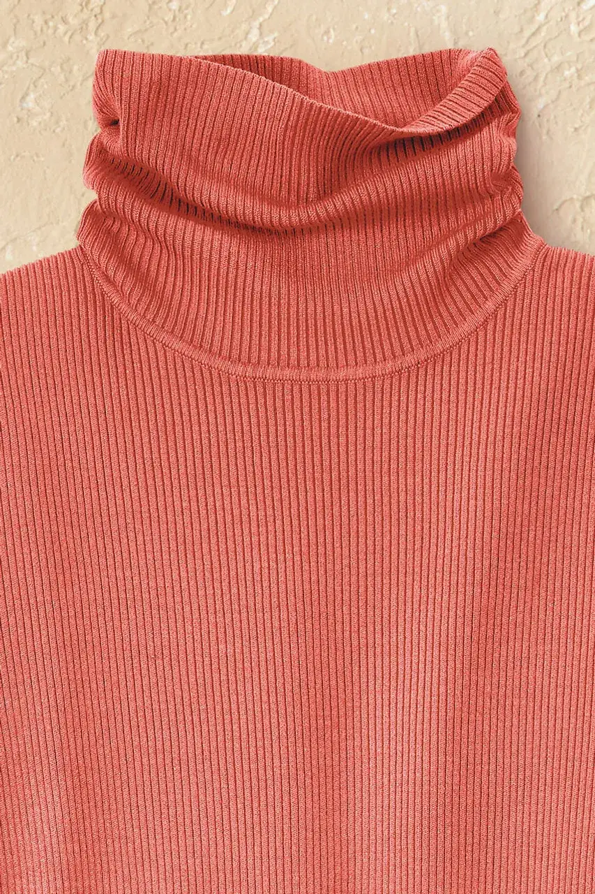 Ribbed Turtleneck Sweater