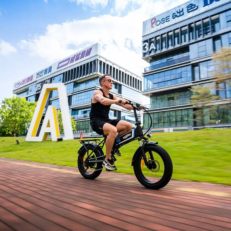 E-bike OT10 48V 12Ah 250W Motor Electric Bike Aluminium Alloy Frame