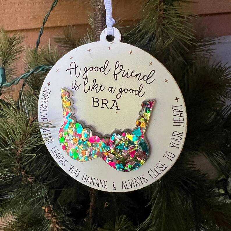 Best Friend Gift | Good Friend is Like a Bra