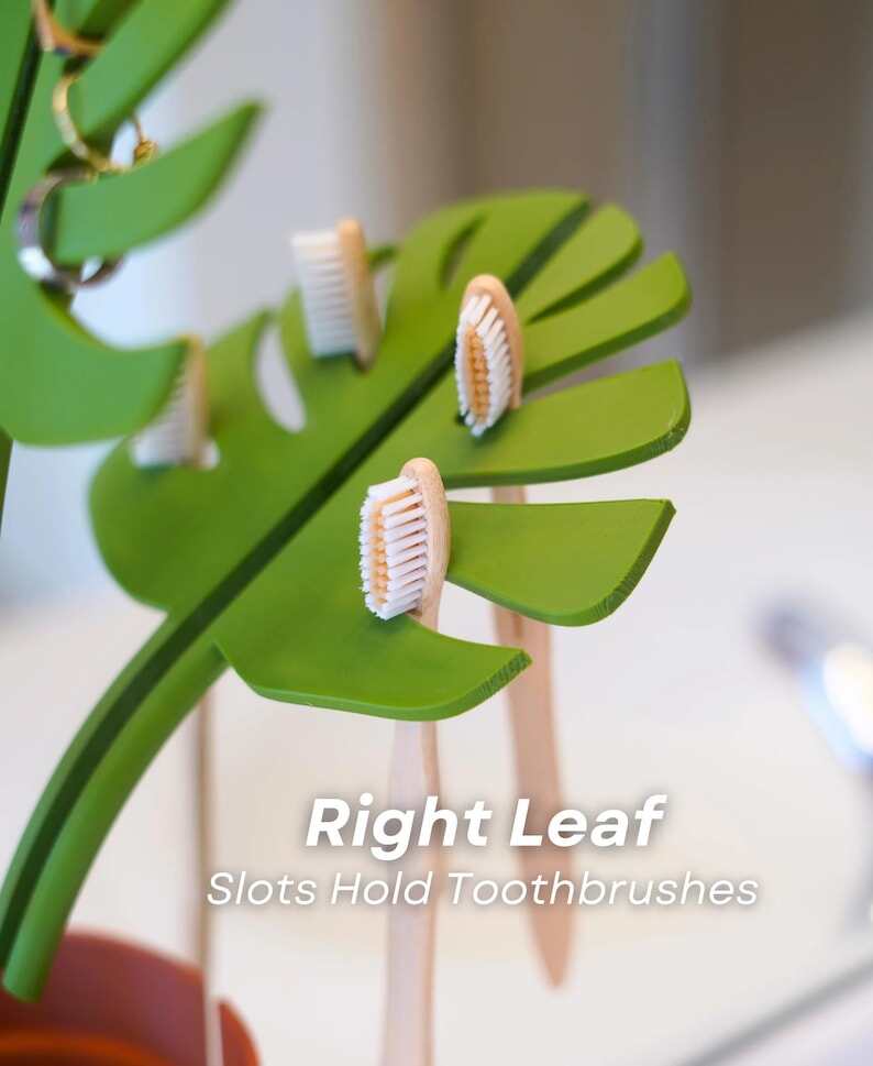 Mirror Monstera Organizer