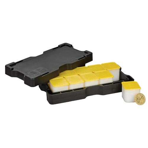 1oz British Britannia Gold Coin 2024