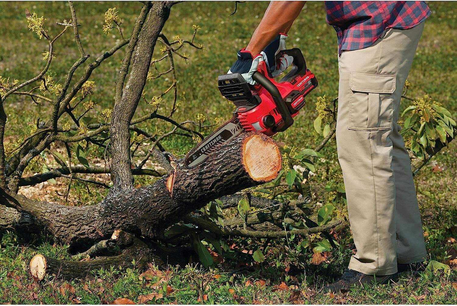 CRAFTSMAN V20* Cordless Chainsaw, 12-Inch (CMCCS620M1)