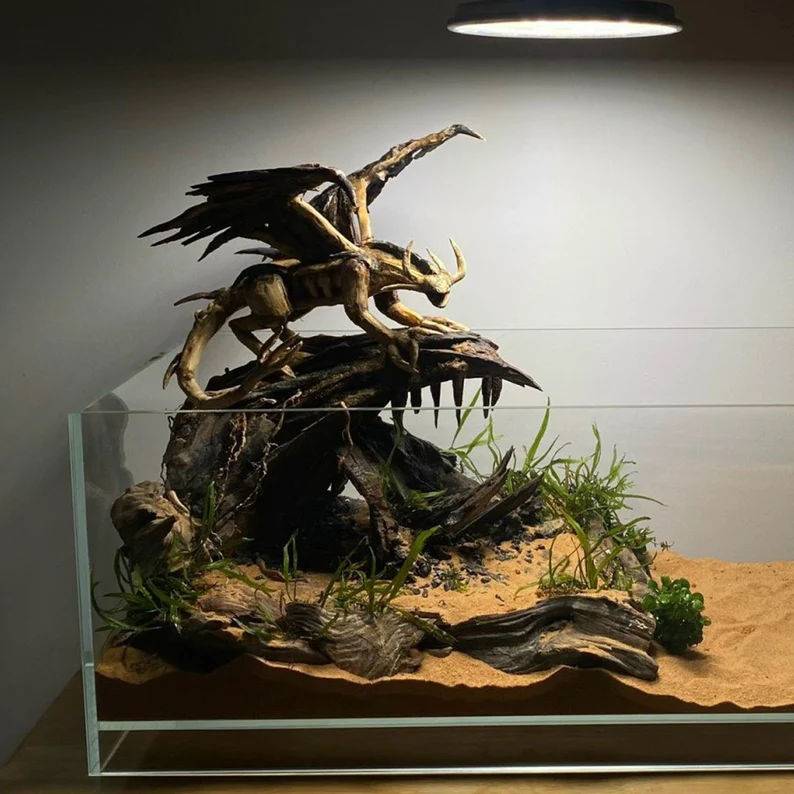 Ancient Stone glued aquascape for nano aquarium