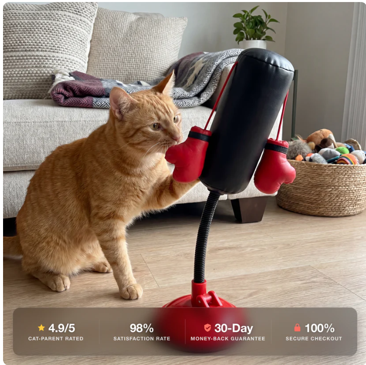 CAT Punching Bag