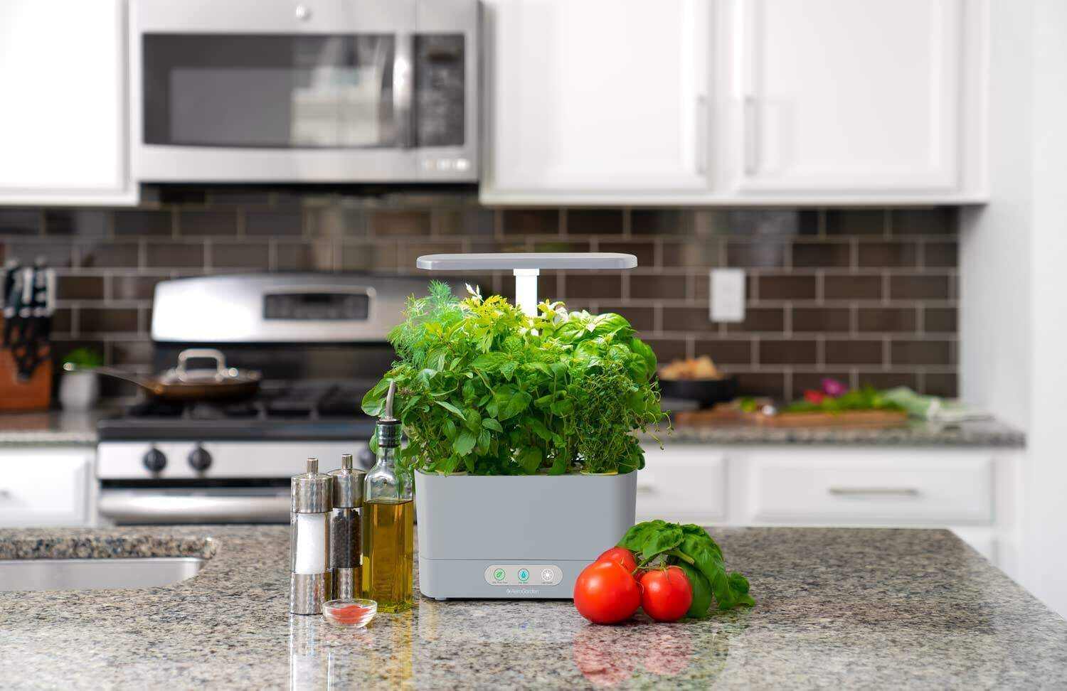 Harvest XL with Gourmet Herbs Seed Pod Kit - Indoor Garden with LED Grow Light