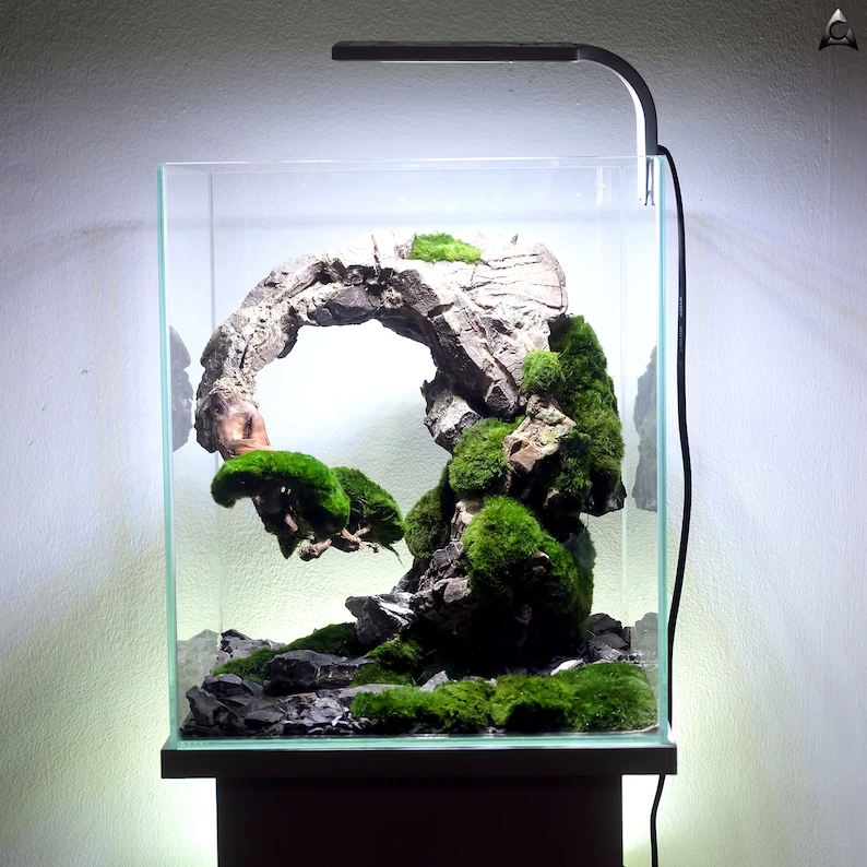 Ancient Stone glued aquascape for nano aquarium