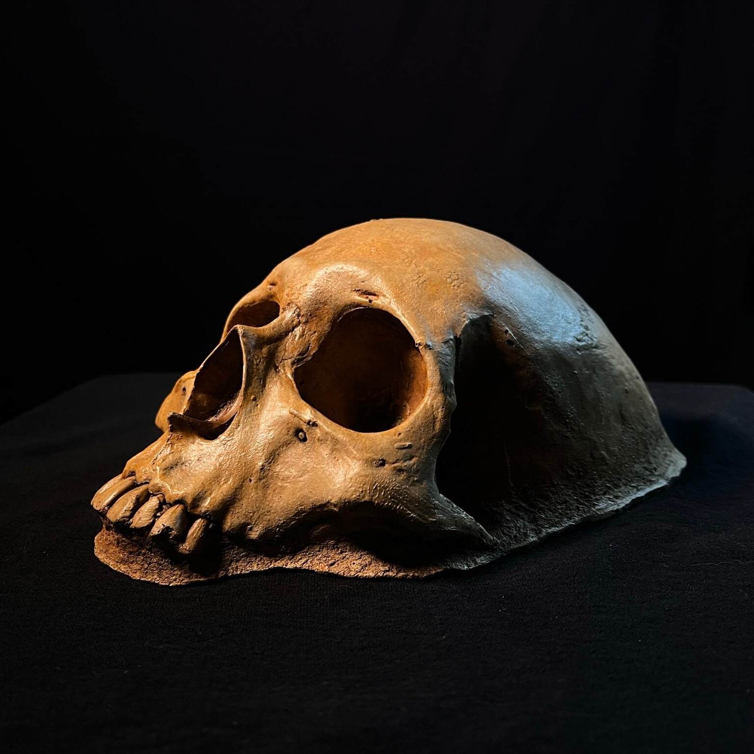 💀Creepy Garden Skull👻