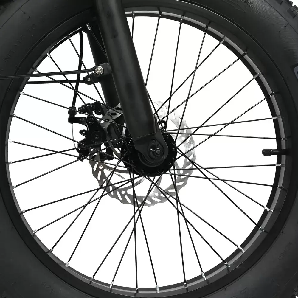 E-BIKE DZ2002 48V 13Ah 500W Performance Motor