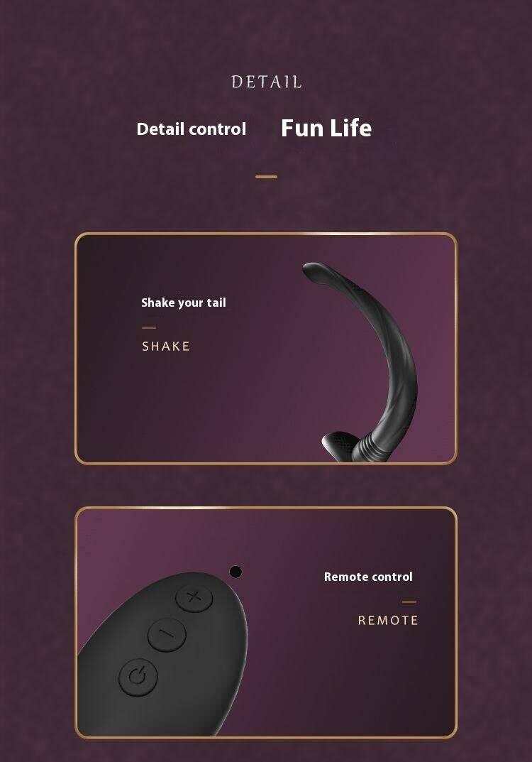 SM Remote Control Wearable Vibrating Butt Plug