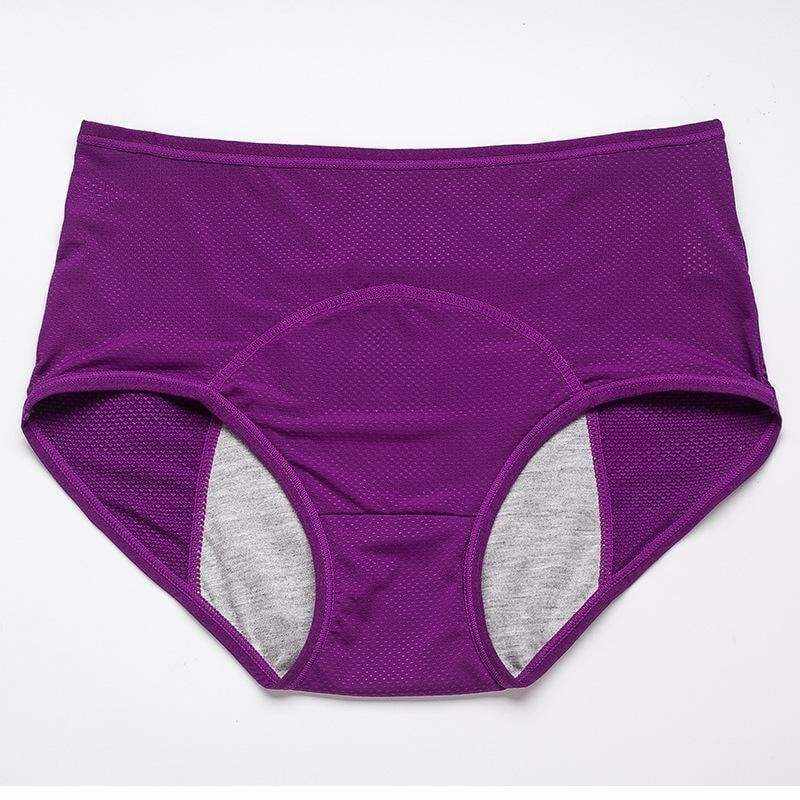 🎉🔥LAST DAY 49% OFF🔥--2023 Leak Proof Protective Panties