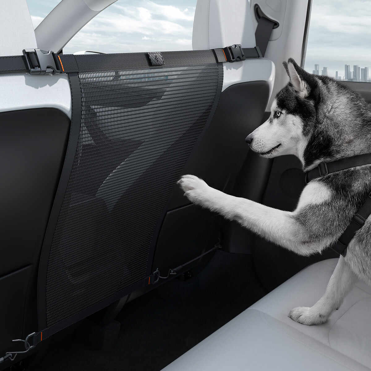 Pet Car Backseat Barrier | PS200