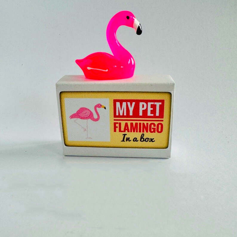 🦩Pet Flamingo In A Box