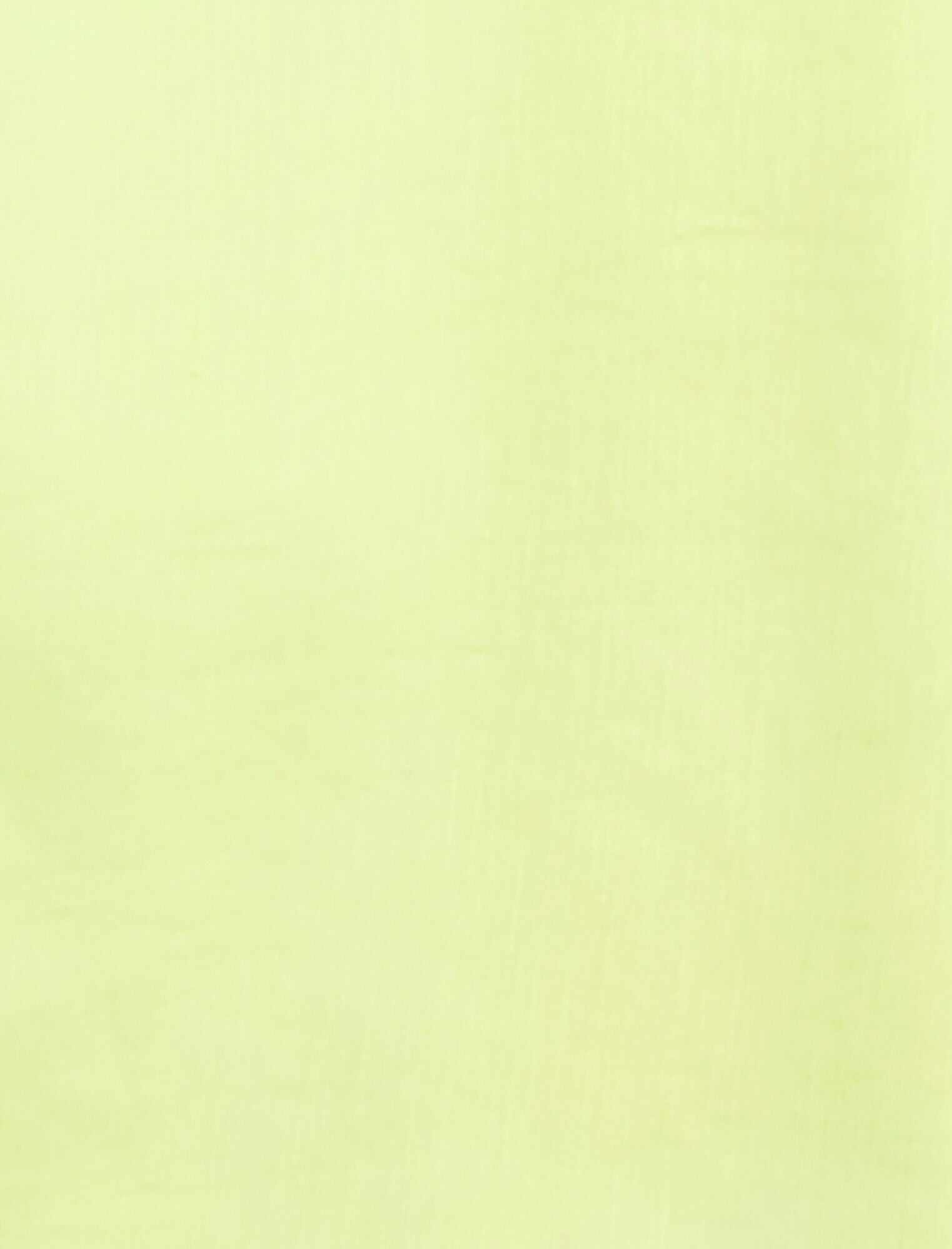 Airy Sheer Textured Pant