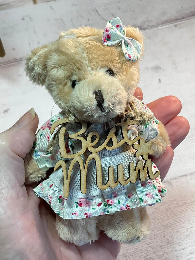 MOTHER'S DAY Teddy Bear Gift Set