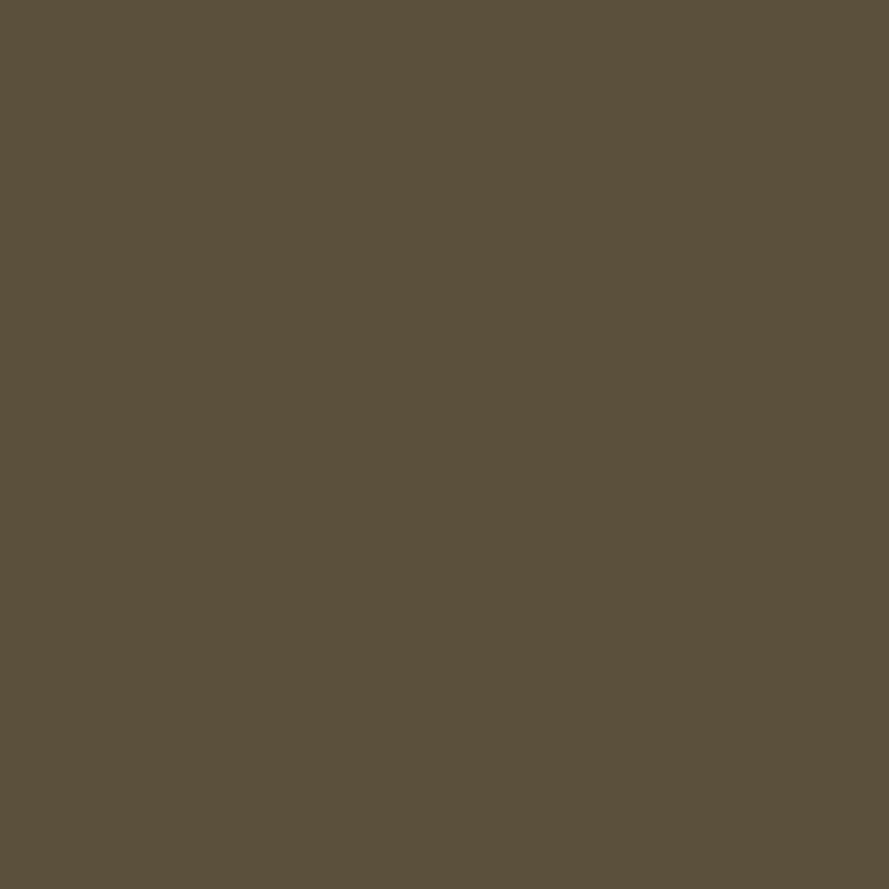 Plus Size Poplin Bow Cargo Capri Pants