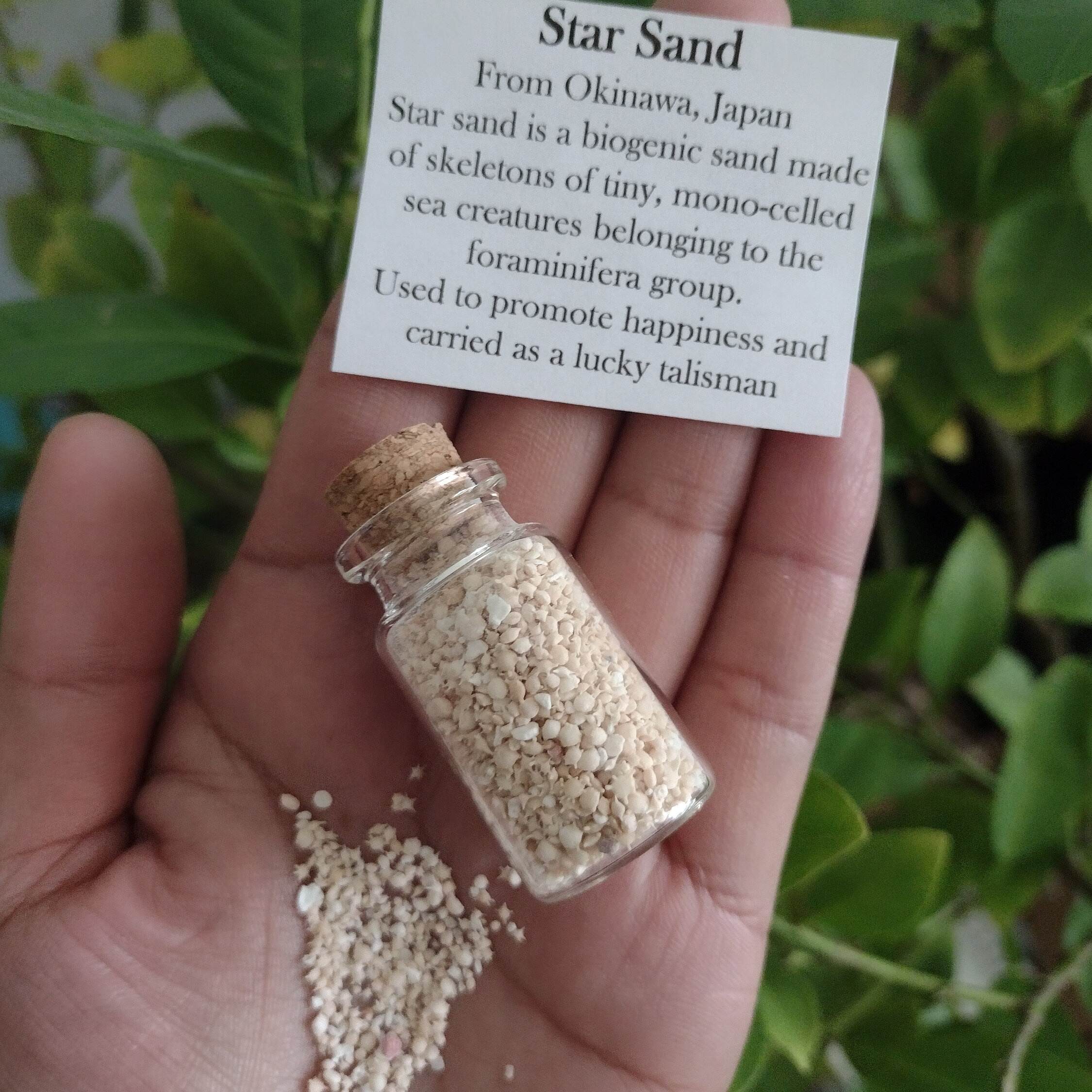 🌟RARE Okinawa Star Sand Jar | Make Wishes Come True