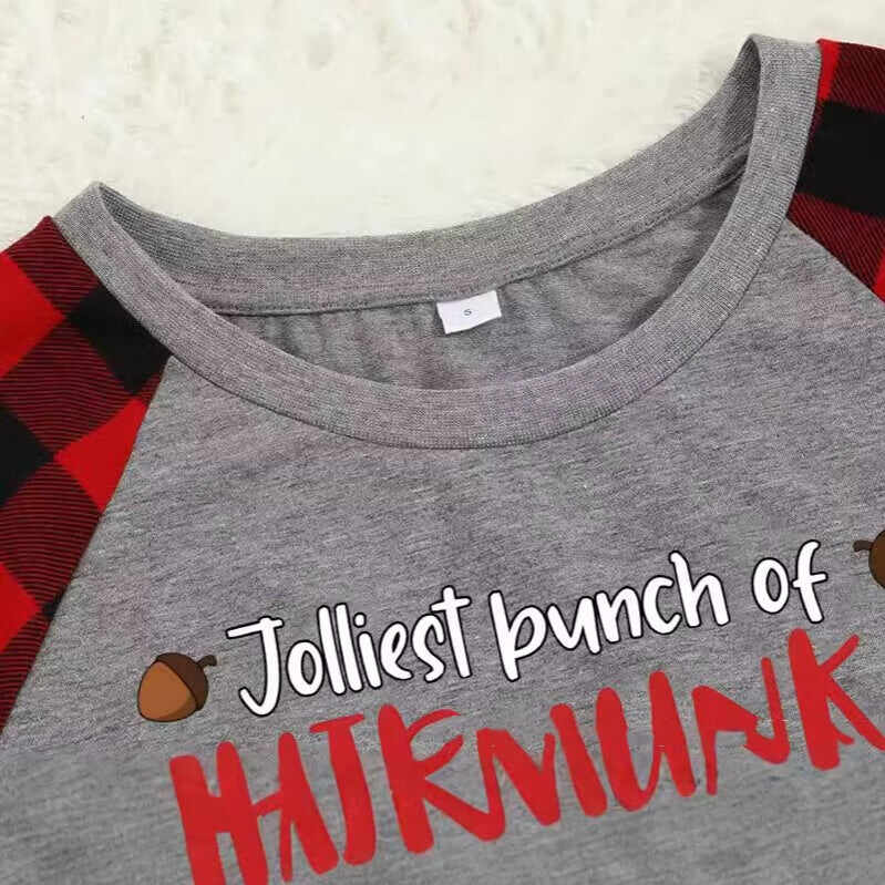 2024 Chipmunks Plaid Christmas Pajamas Matching Pajamas For Family Sets