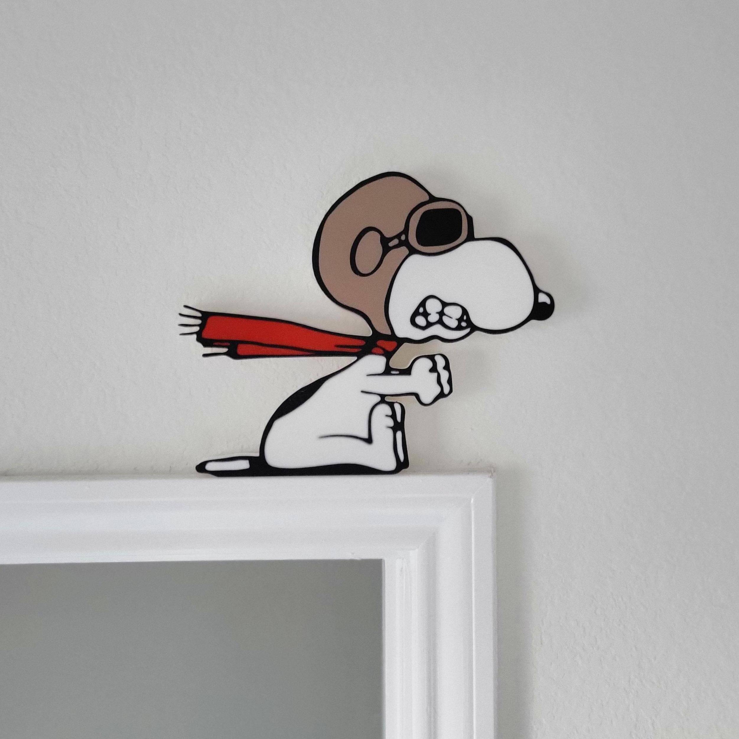 SNPY Ace Pilot Wall Art