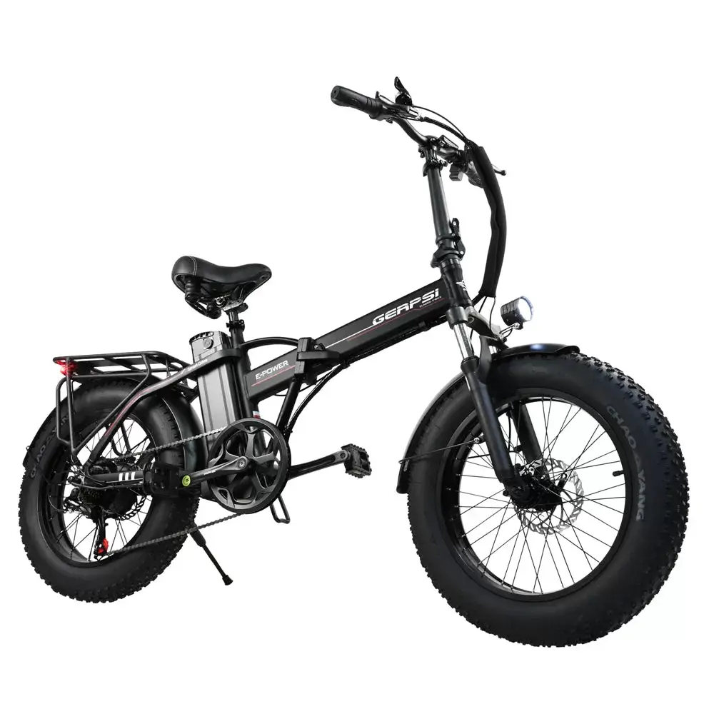 E-BIKE DZ2002 48V 13Ah 500W Performance Motor