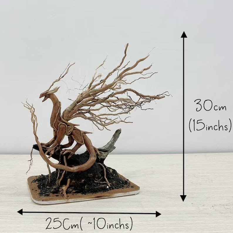 Ancient Stone glued aquascape for nano aquarium