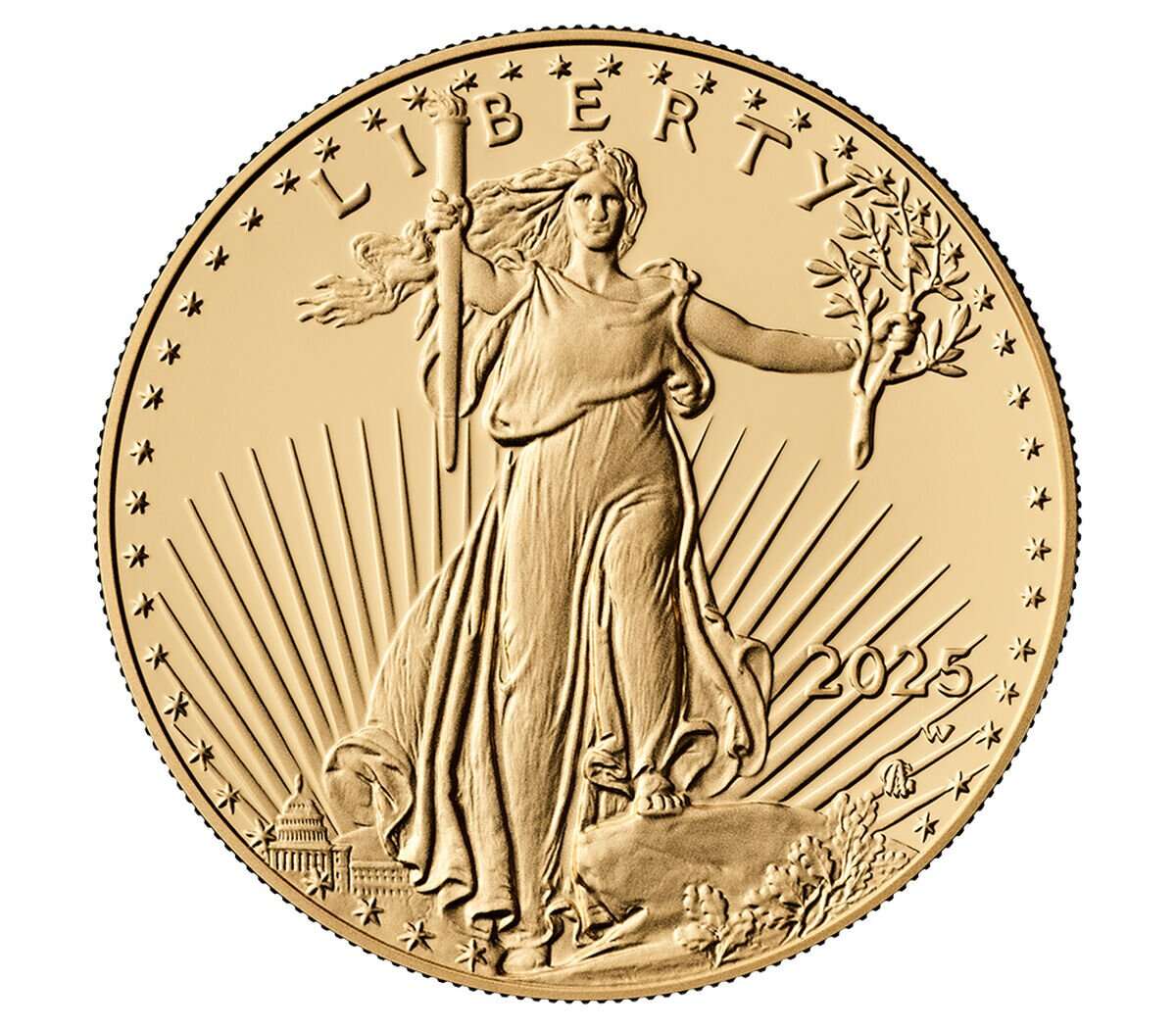 2025 1 oz American Gold Eagle Coin