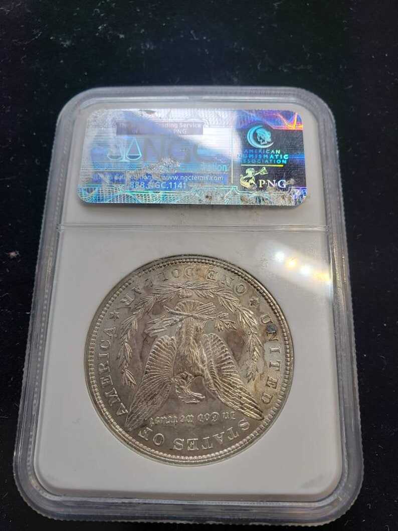 1880-P Morgan Silver Dollar  NGC  Graded MS 64 Nice Colored toning on obverse-    Lot# 1460
