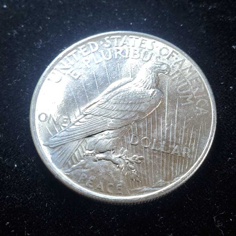 1924  Silver Peace Dollar BU   ! Lot# 966   Reg 79