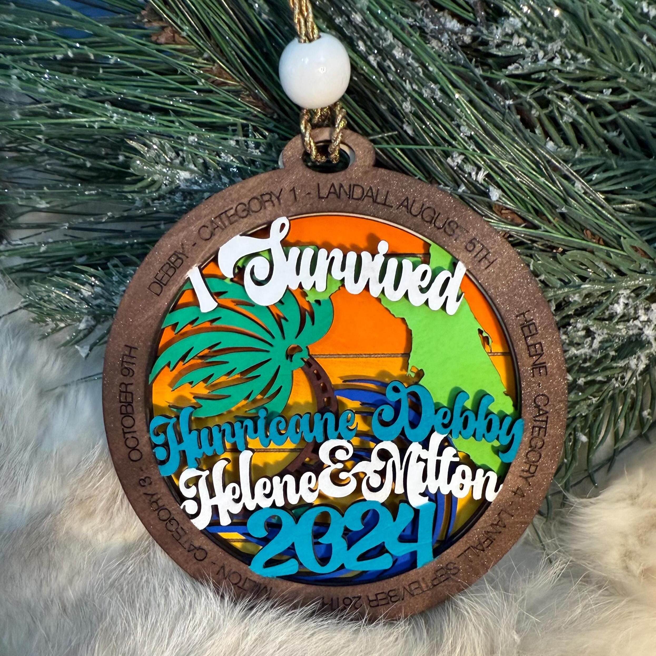 We Survived Hurricane Debby Ornaments