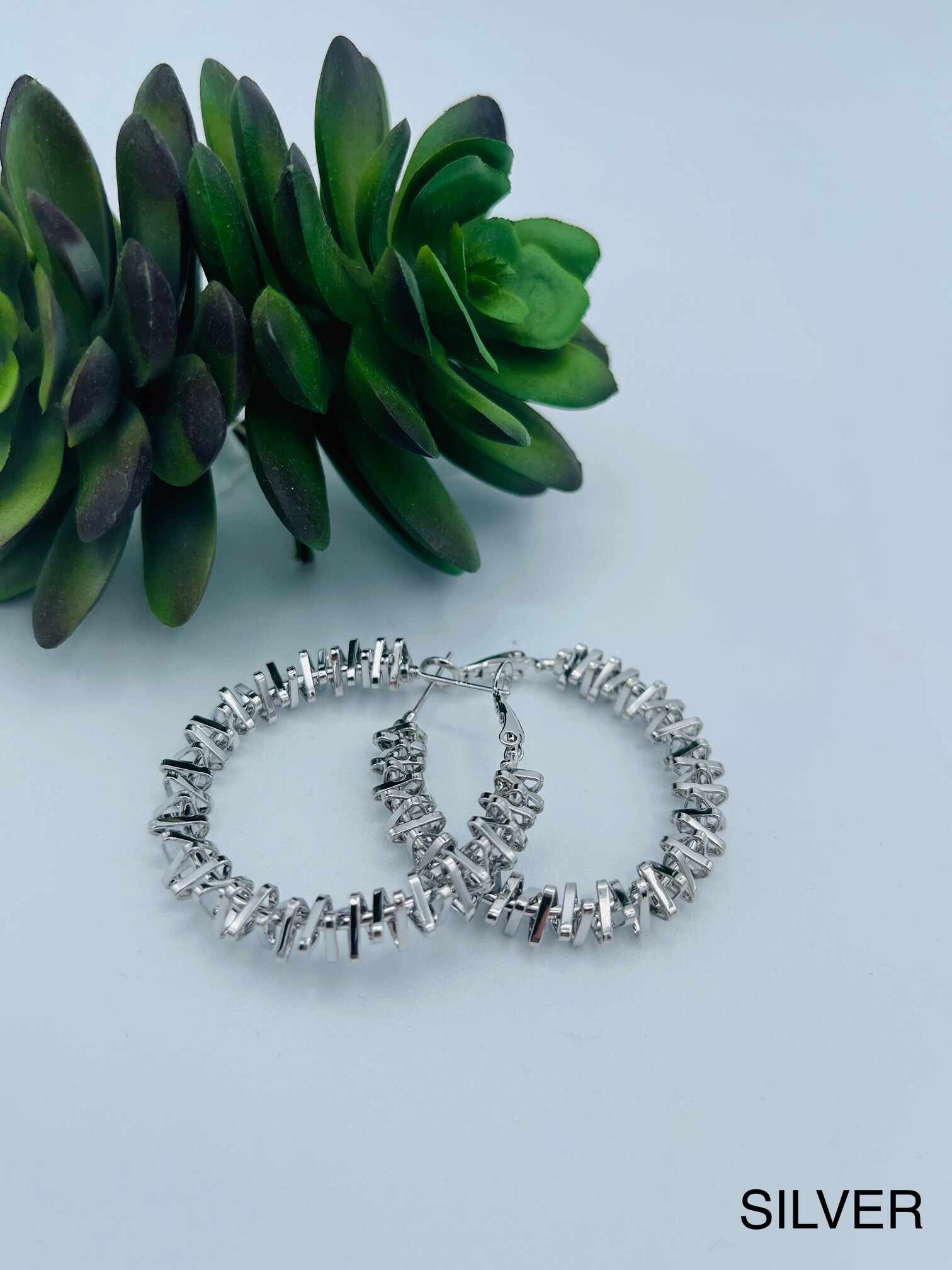 The Staple Hoop Earrings - Multiple Colors!