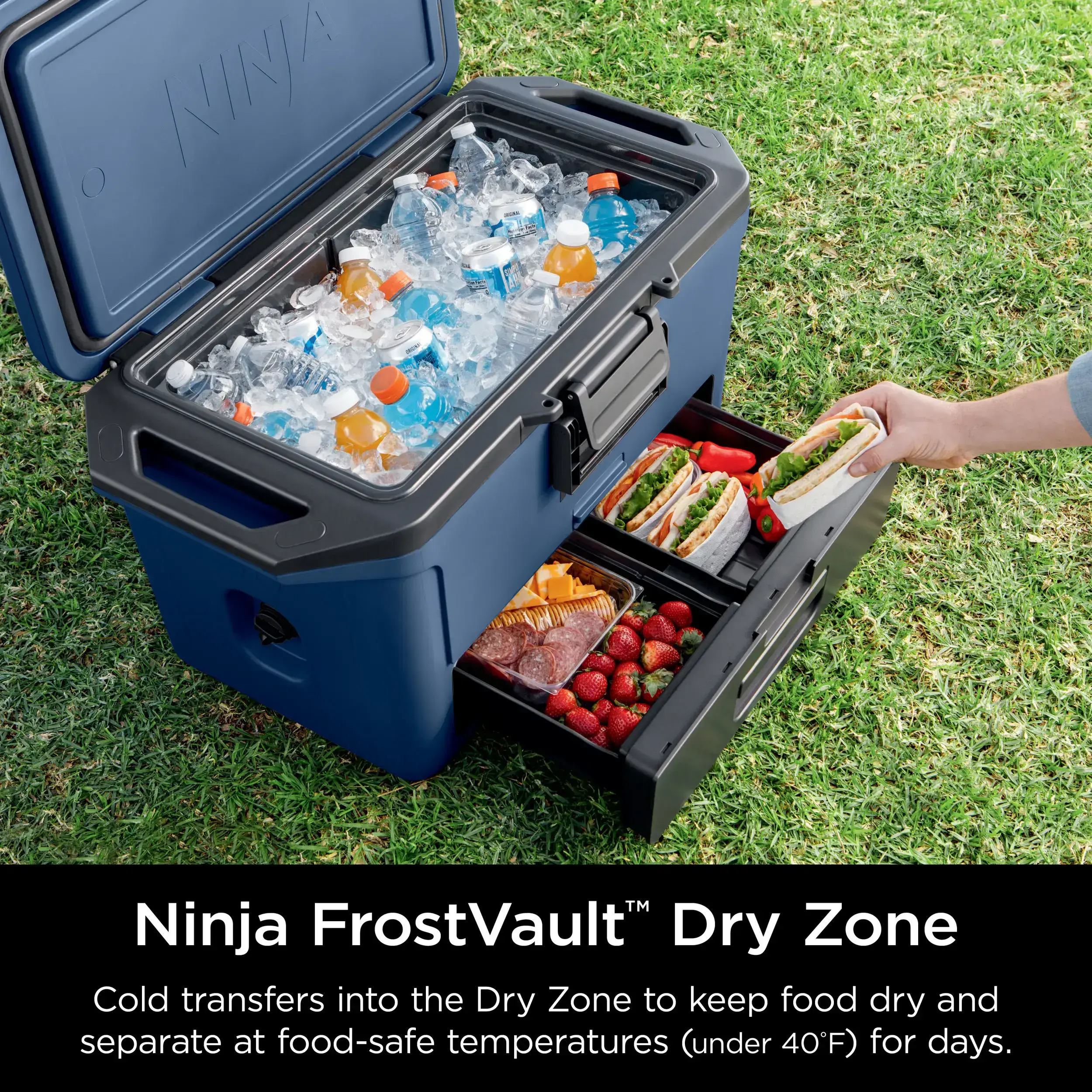 50qt Hard Cooler with Cold Dry Zone - FB151