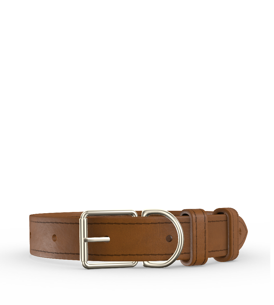 Clef Dog Collar