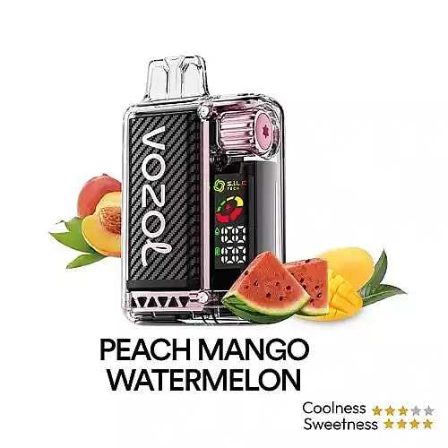 Vozol Vista 20K Puffs Disposable Vape | Dual Mesh with LED Digital Screen
