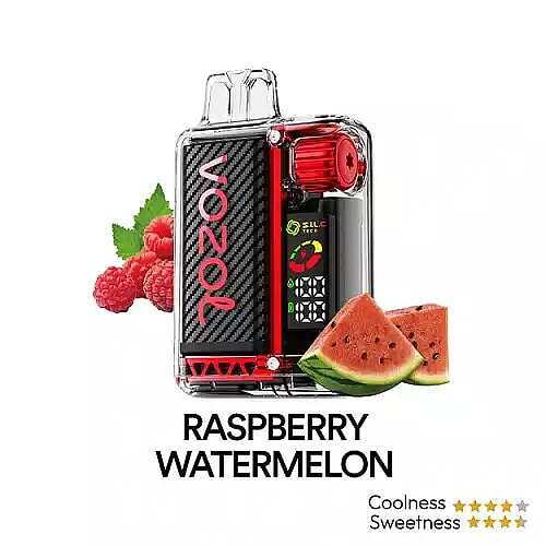 Vozol Vista 20K Puffs Disposable Vape | Dual Mesh with LED Digital Screen