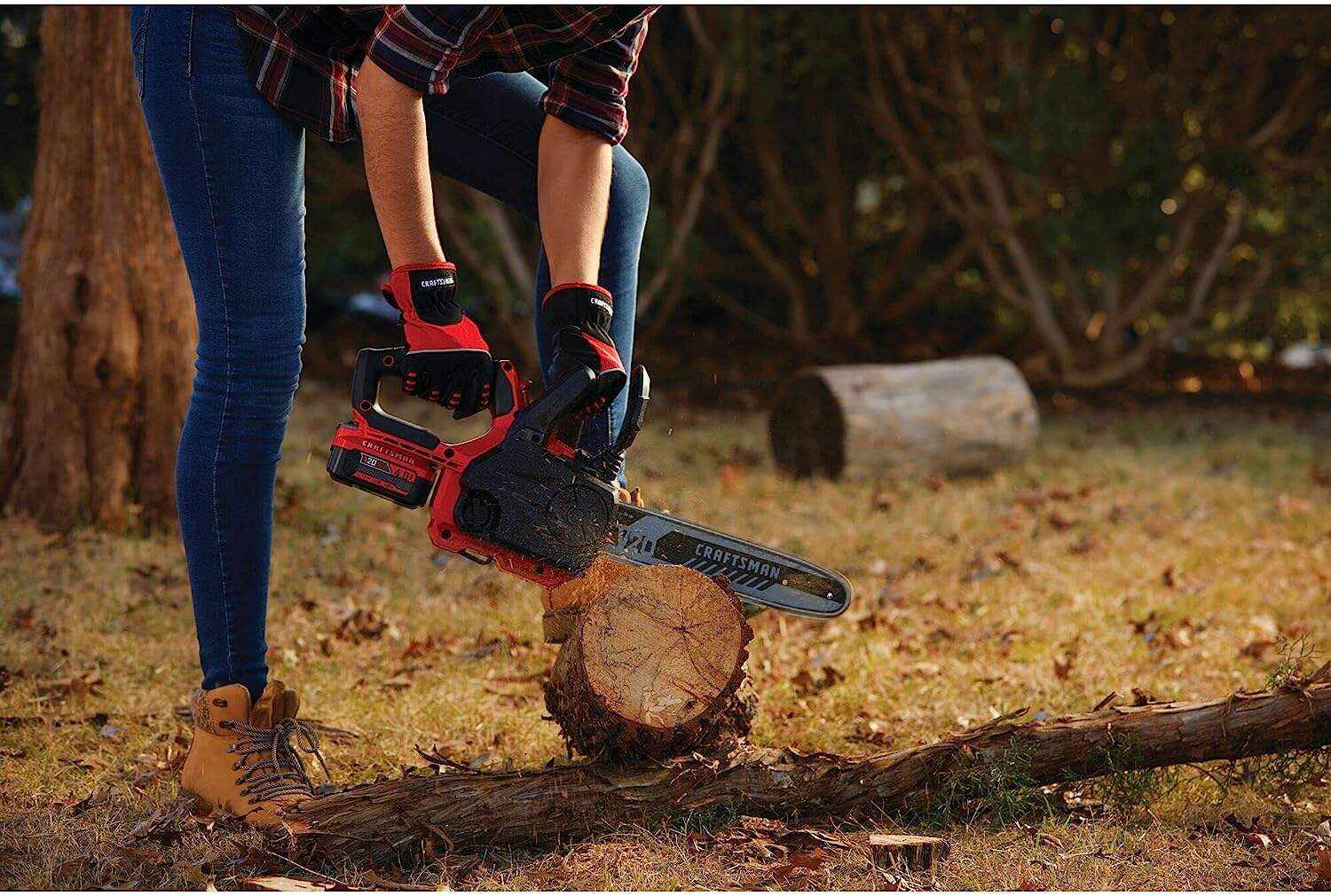 CRAFTSMAN V20* Cordless Chainsaw, 12-Inch (CMCCS620M1)