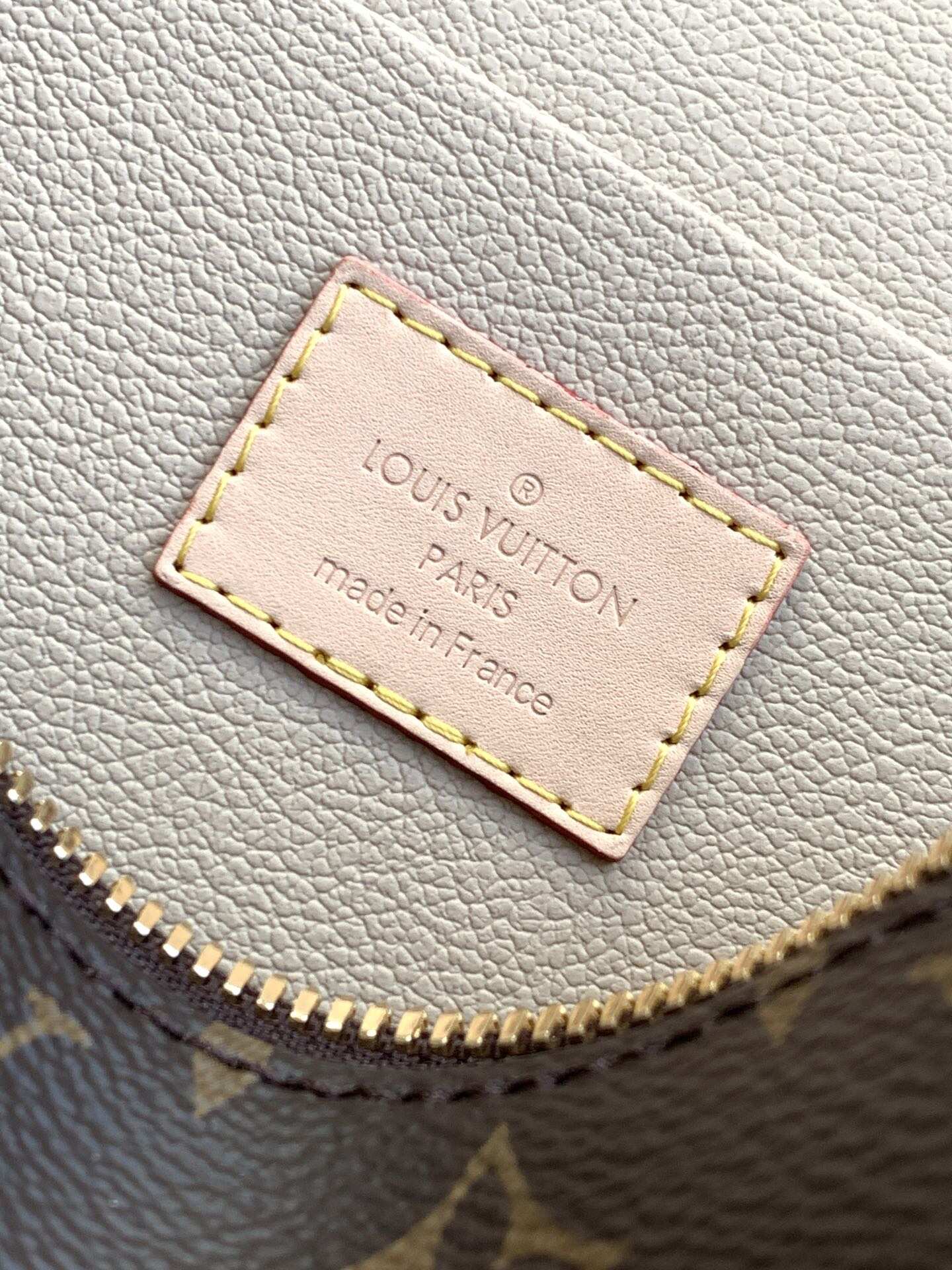 LOUIS VUITION NICE makeup bag with chips