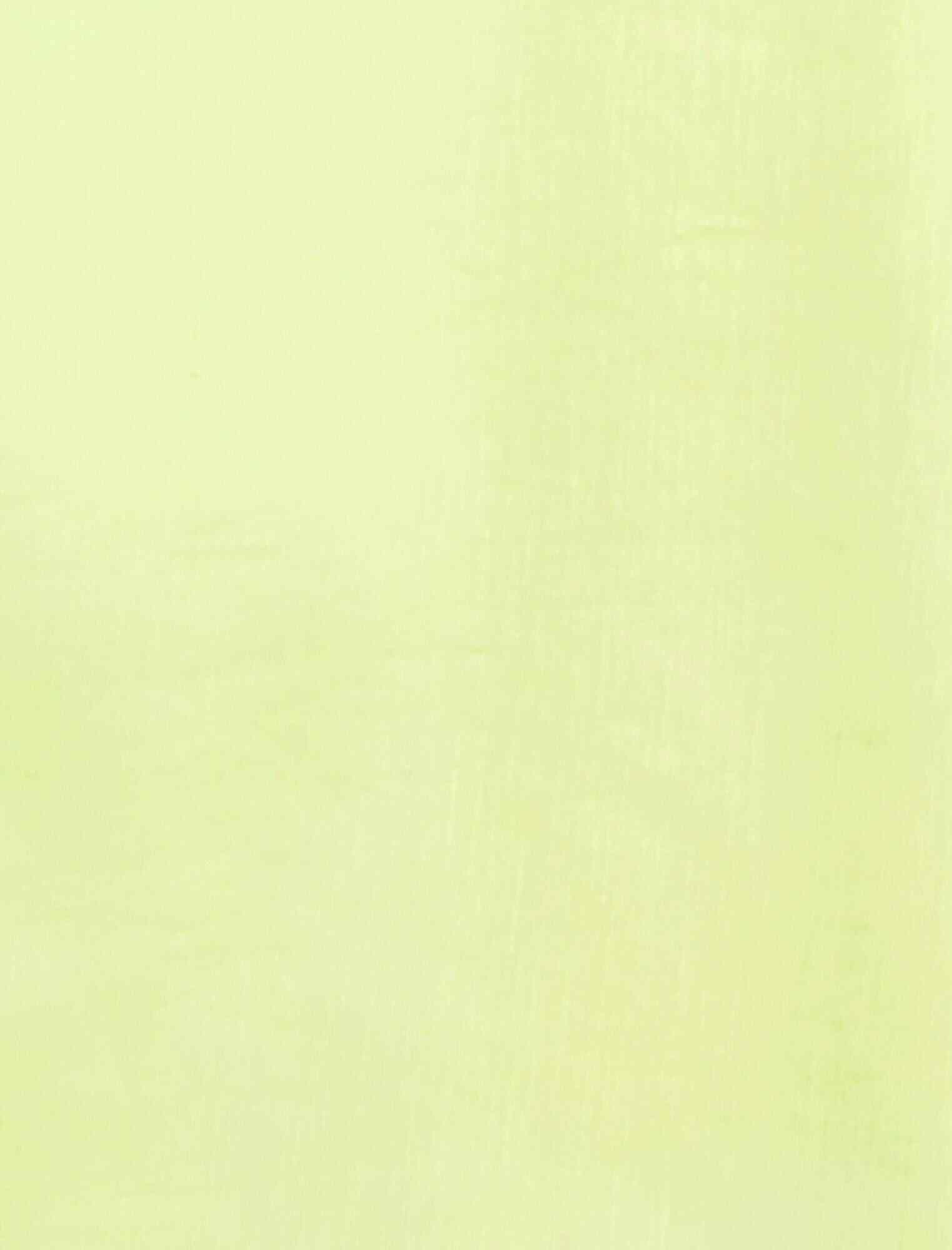 TestAiry Sheer Textured Pant