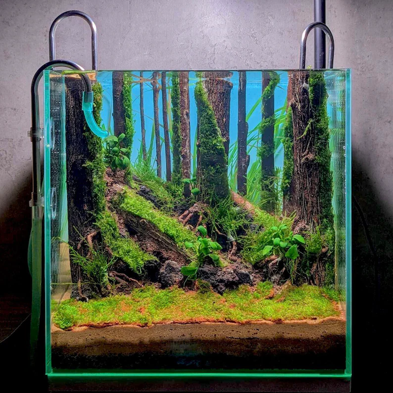 Ancient Stone glued aquascape for nano aquarium