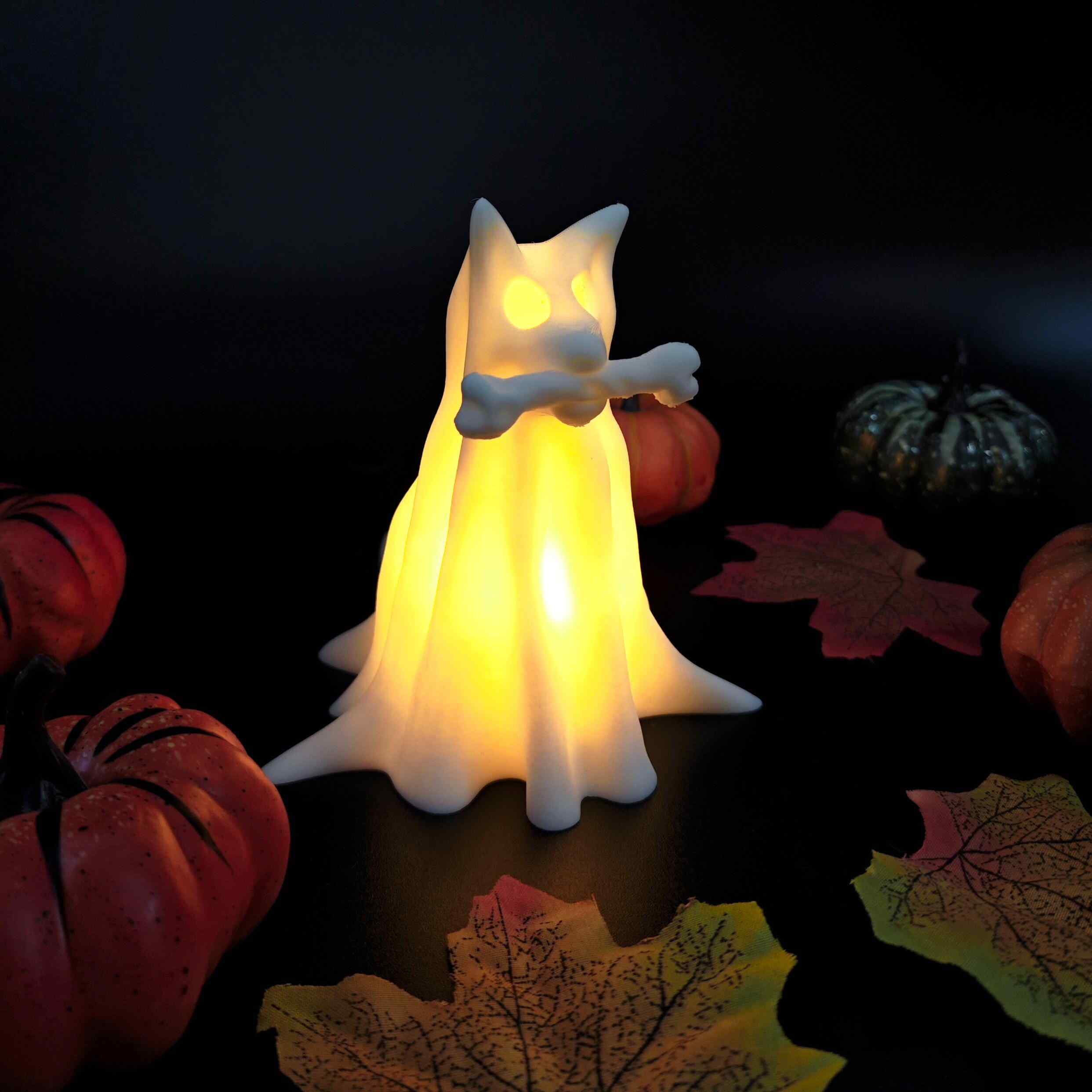 👻Glowing Ghost Pet