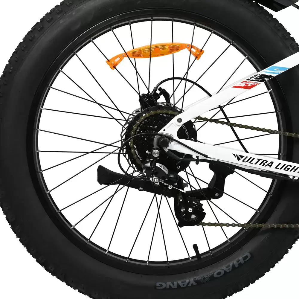 E-bike DP2615 Eel Shock Absorbers 48V12AH 26