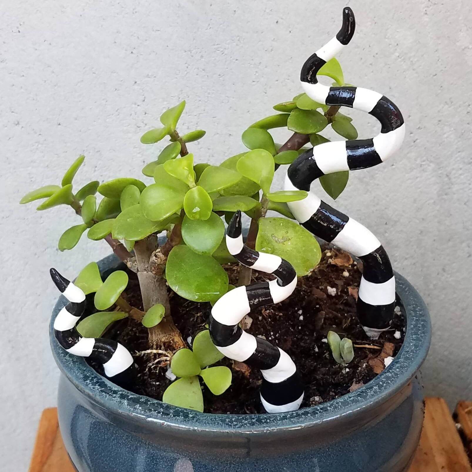 Beetlejuice Sandworm Tails Plant Decoration