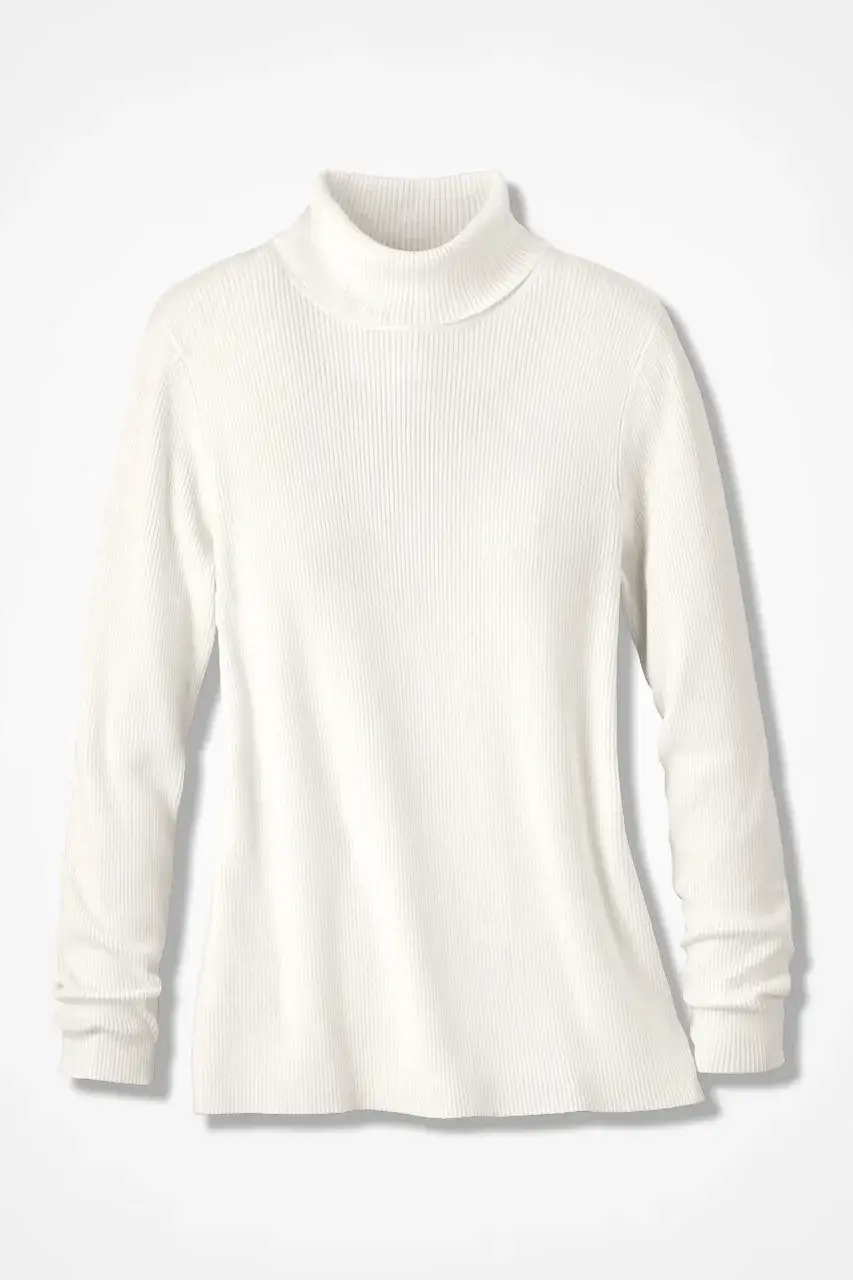 Ribbed Turtleneck Sweater